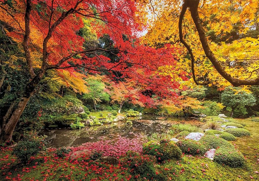 Autumn Park (1500pcs)