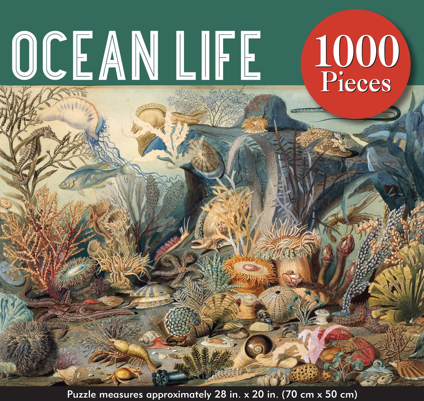 Ocean Life (1000pcs)