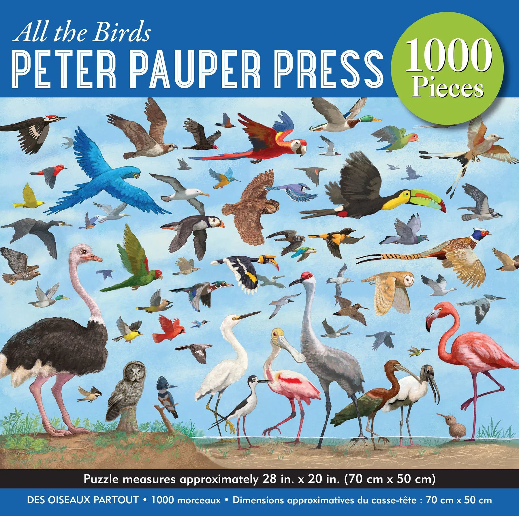 All The Birds (1000pcs)