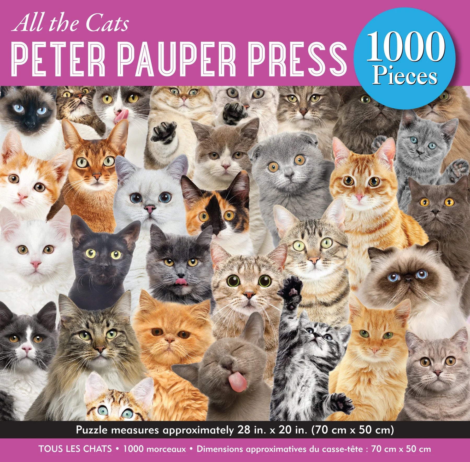 All The Cats (1000pcs)