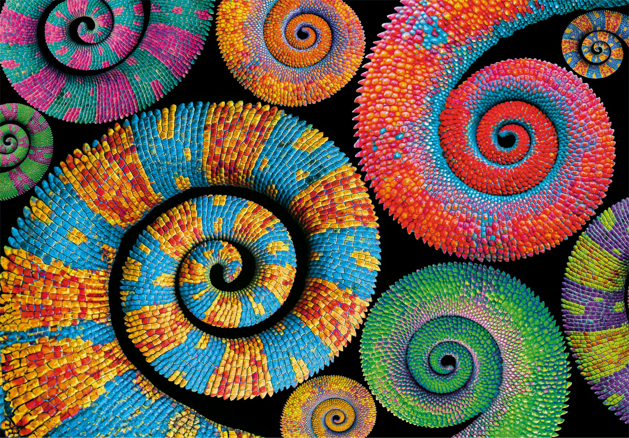 Colorboom - Queues bouclées (500 pièces)