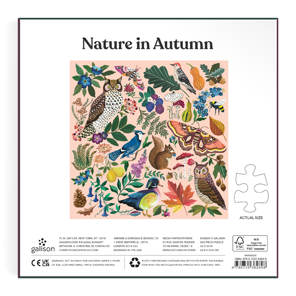 Nature en automne (500pcs)