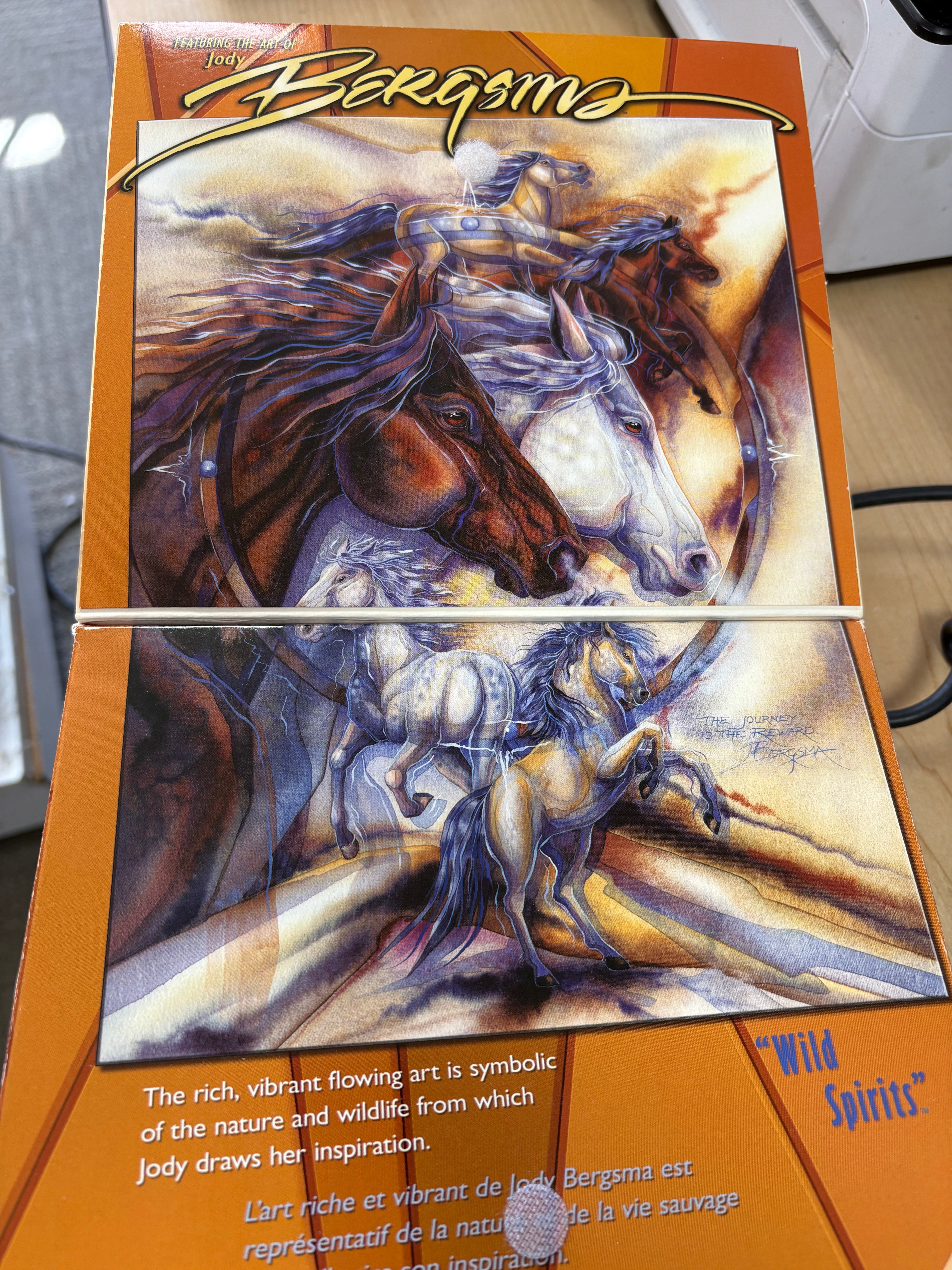 PFG Wild Spirits (750pcs) (Usage/Used - PUZZLES FOR GOOD)