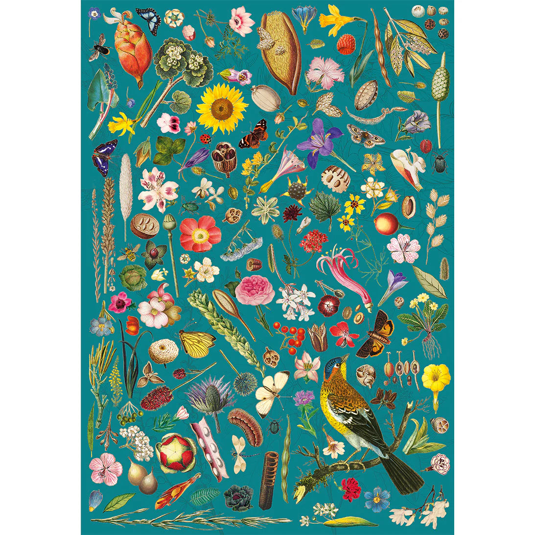 Floral Fantasy - The Royal Horticultural Society (500pcs)