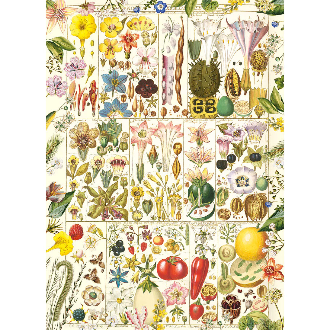Botanical Bliss - The Royal Horticultural Society (1000pcs)