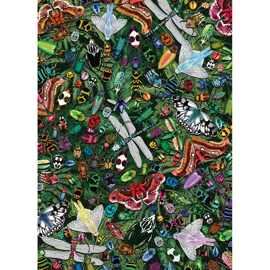 The Art File - Winged Wonders (1000pcs)