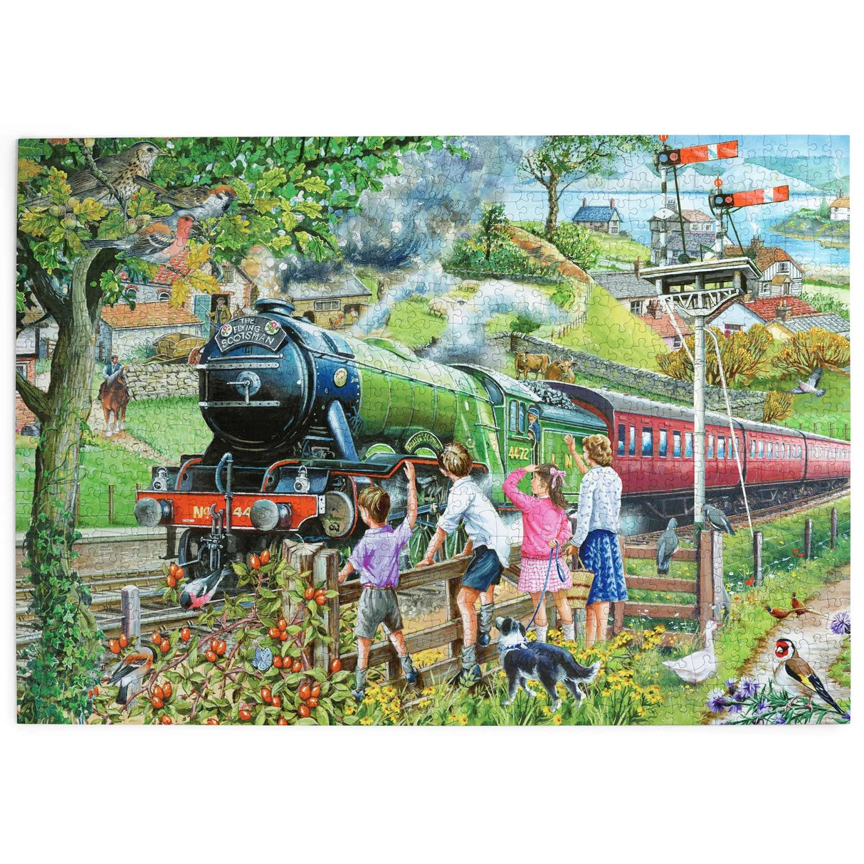 Full Steam Ahead (1000pcs)