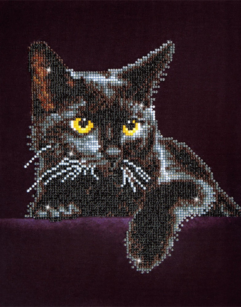 Diamond Dotz - Midnight Cat