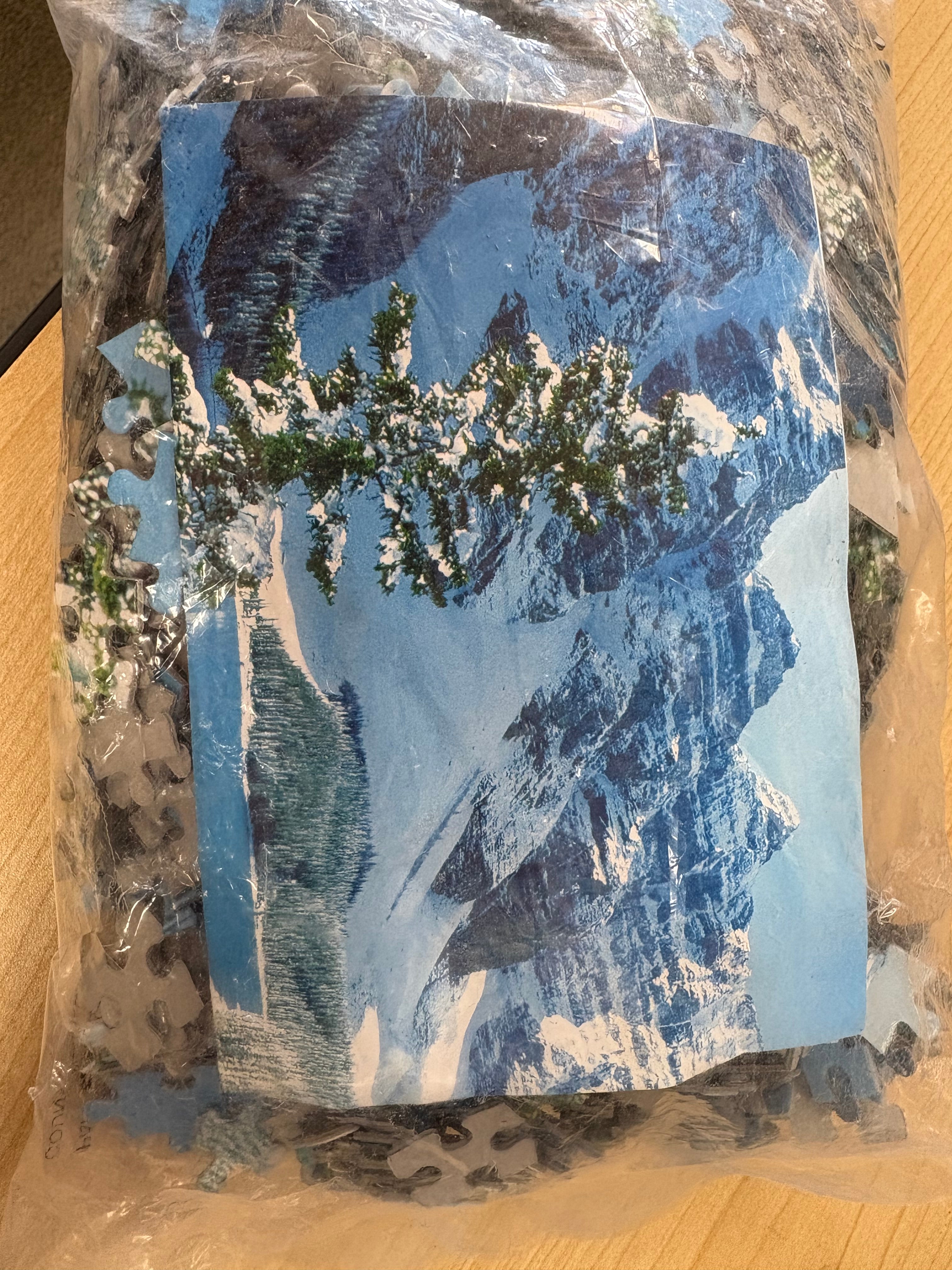 PFG BAG #1 Winter Landscape (Usage/Used - PUZZLES FOR GOOD)