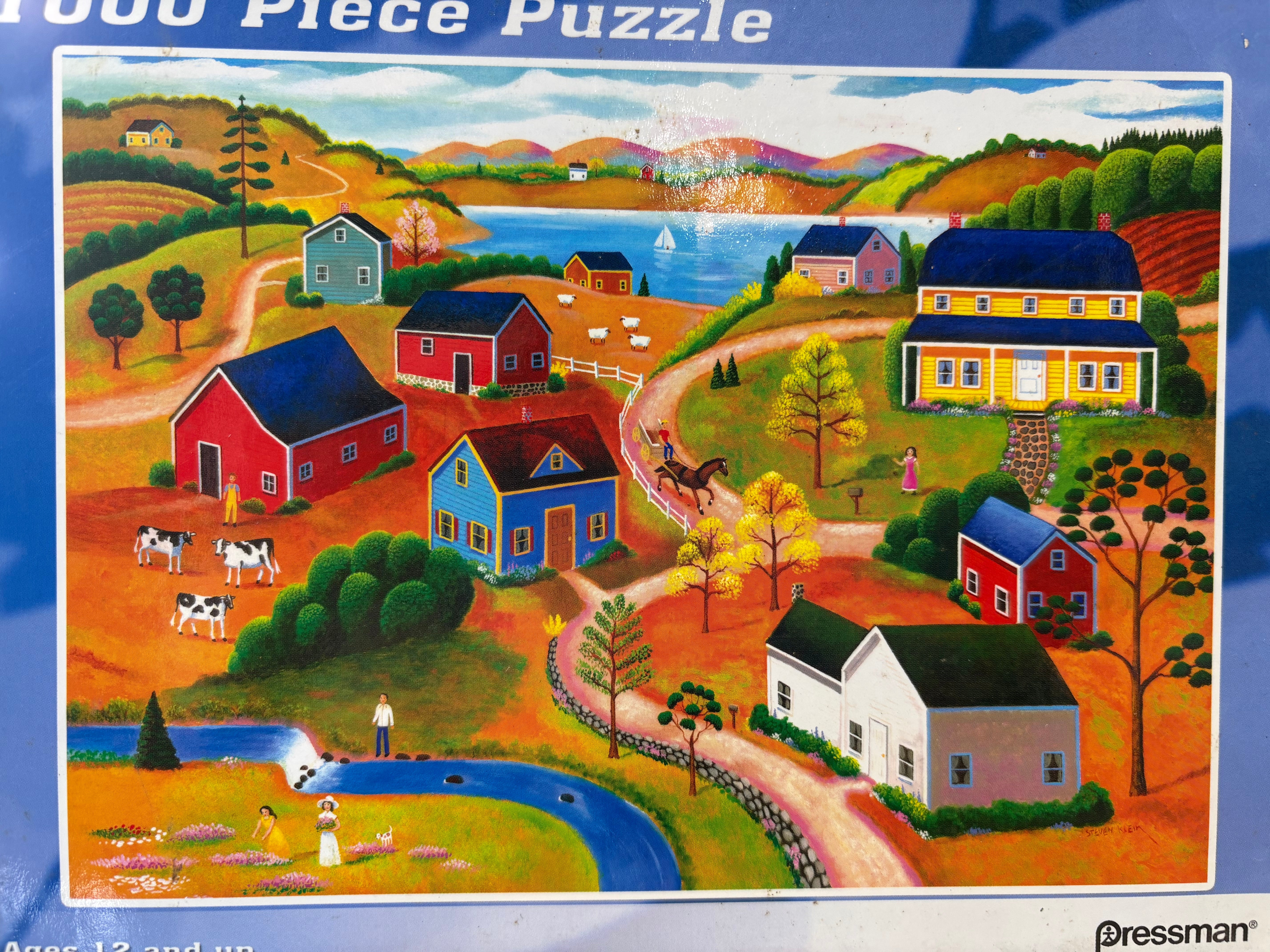 PFG Americana (Usage/Used - PUZZLES FOR GOOD)