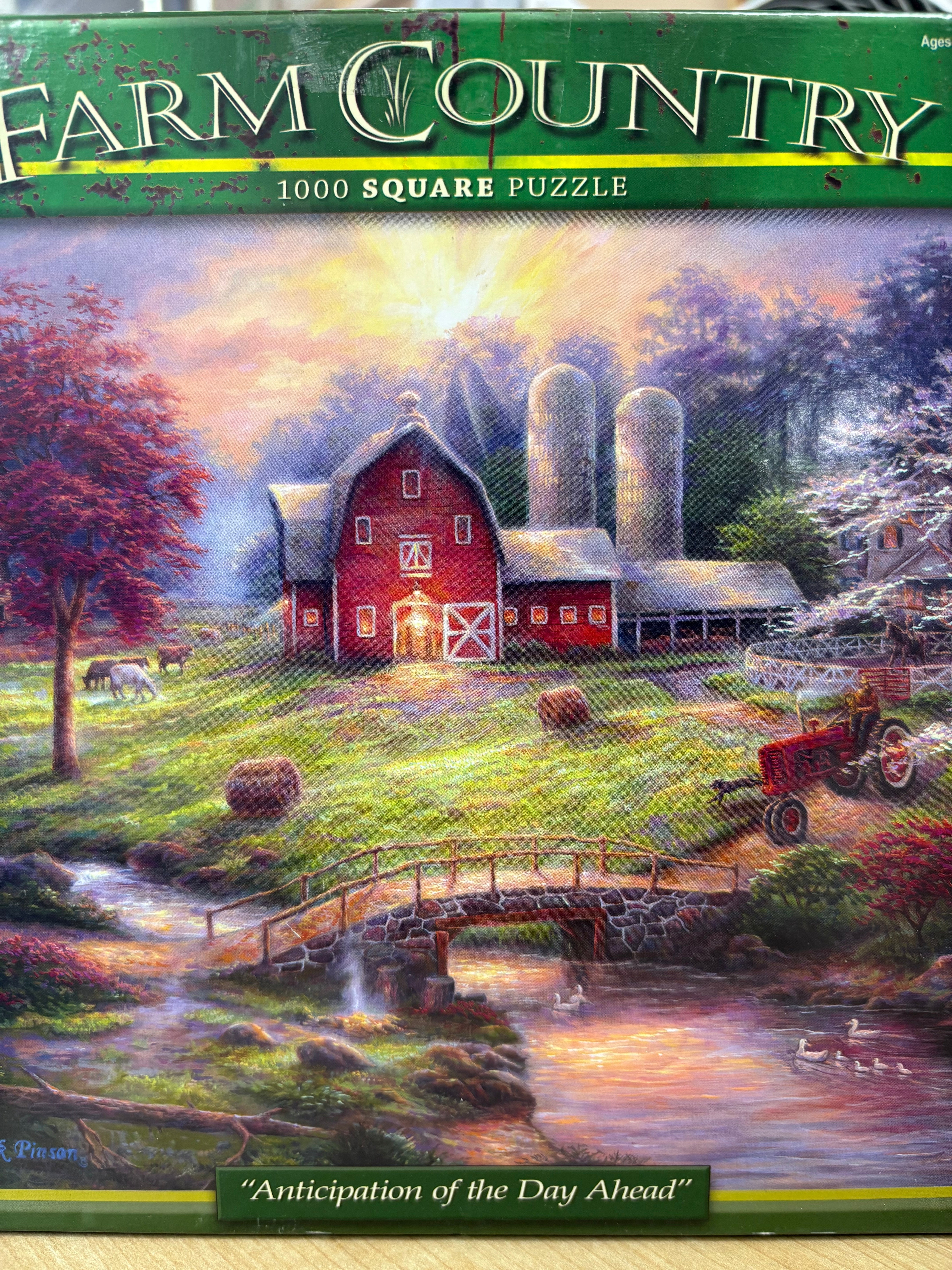 PFG Anticipation du jour à venir (1000 pièces) (État : Usagé - PUZZLES FOR GOOD)