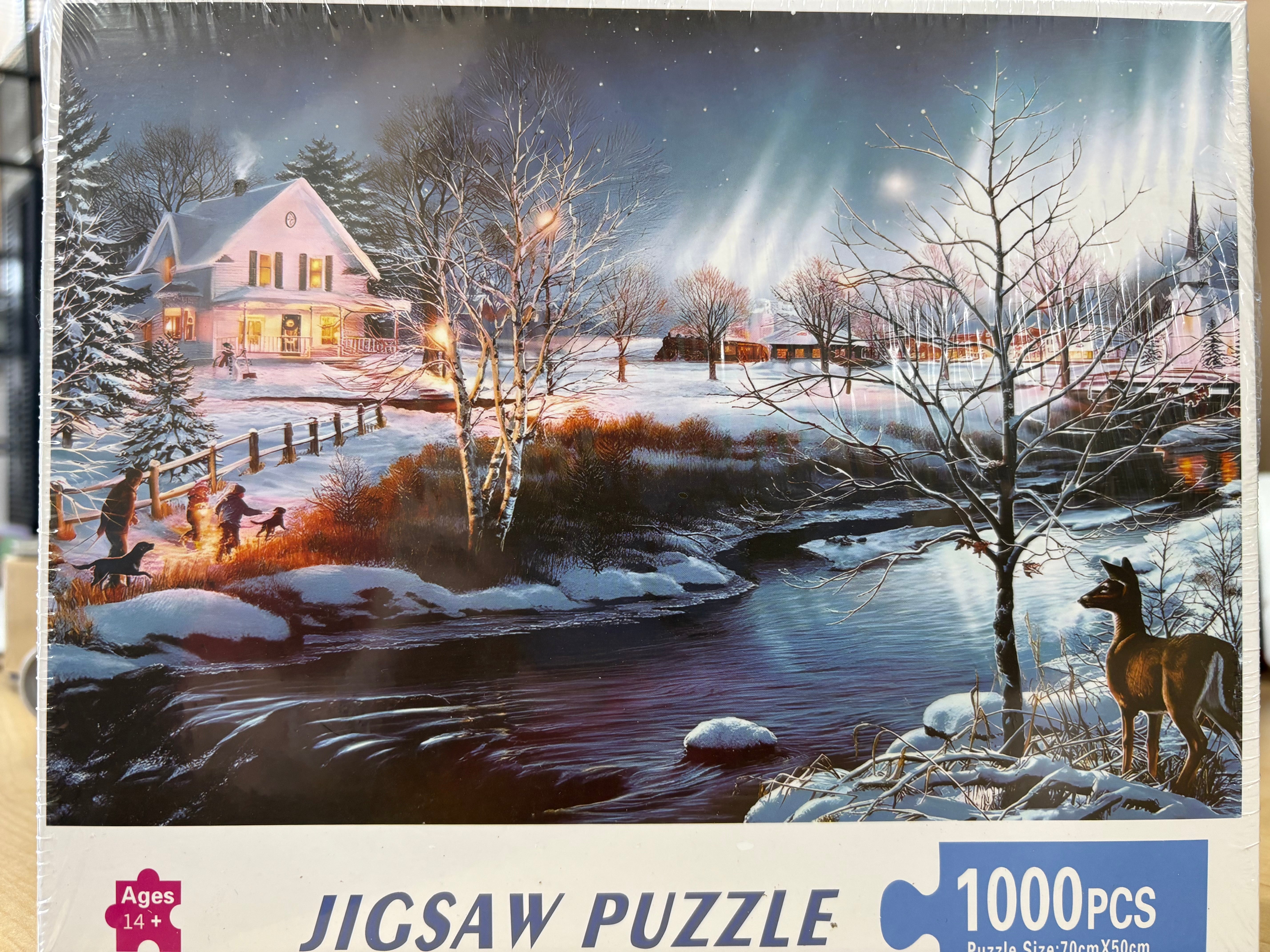 PFG Winter Mountain Cabin (Usagé/Used - PUZZLES FOR GOOD)