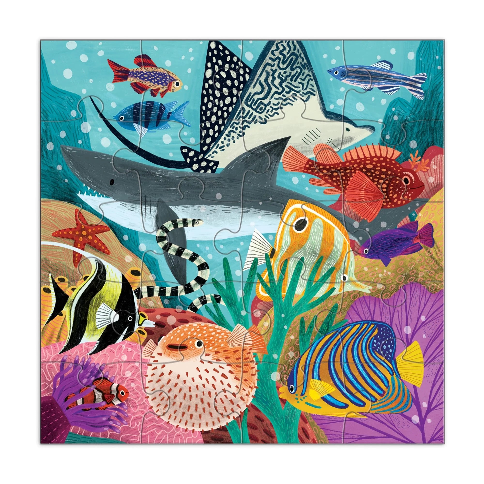 2 Magnetic Puzzles - Depths of the Sea