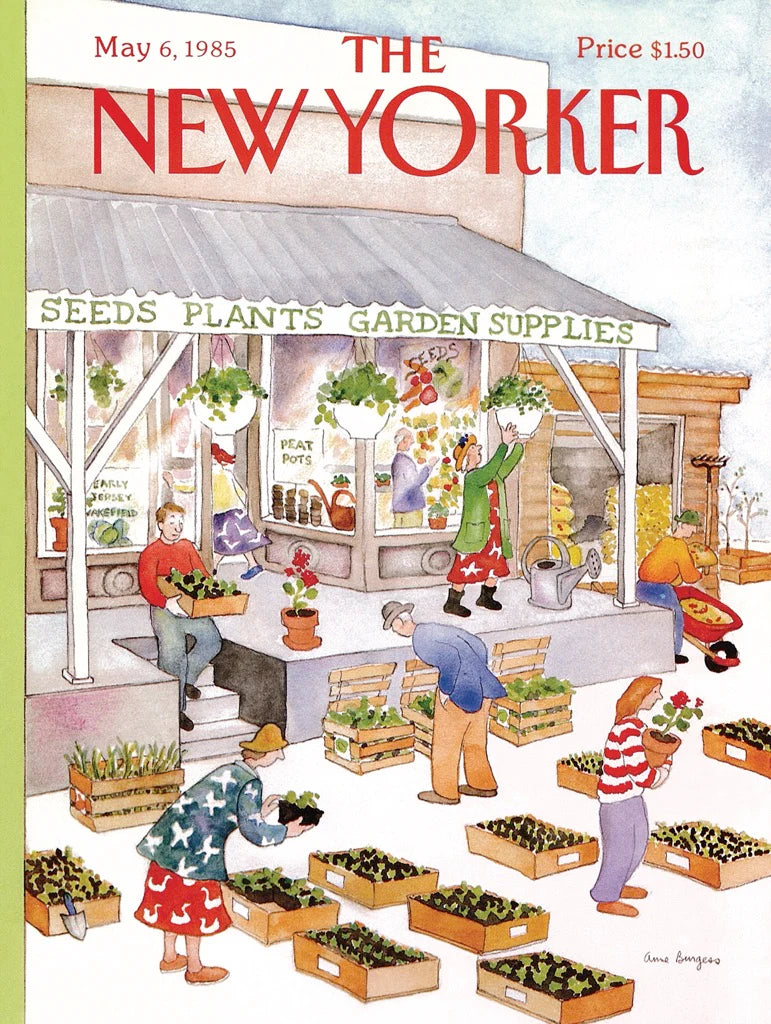 The New Yorker - Garden Supplies (500pcs)