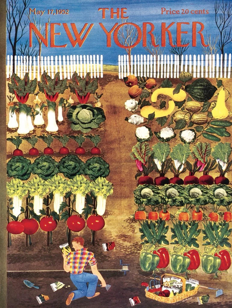 The New Yorker - Garden à légumes (1000pcs)