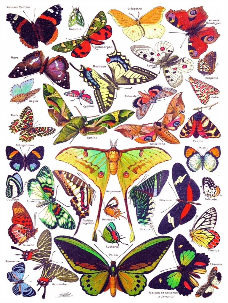 Collection vintage - papillons / papillons (1000pcs)