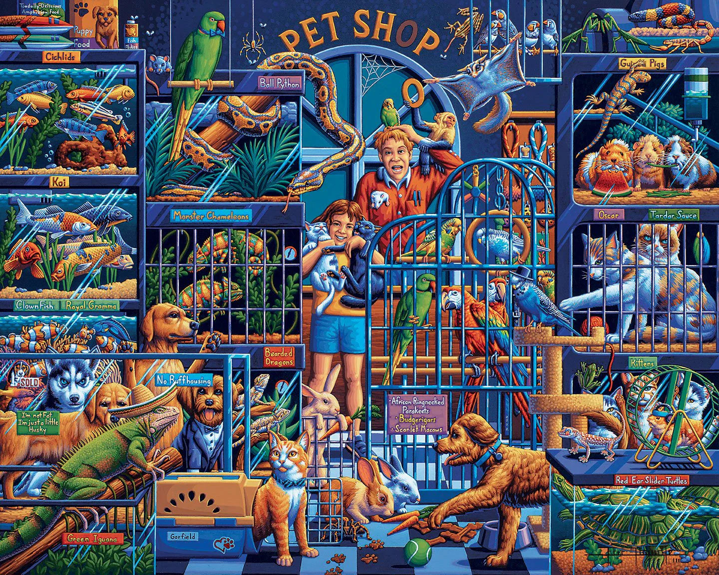 PFG Dowdle Pet Shop (300 pièces) (Utilisé - PUZZLES FOR GOOD)