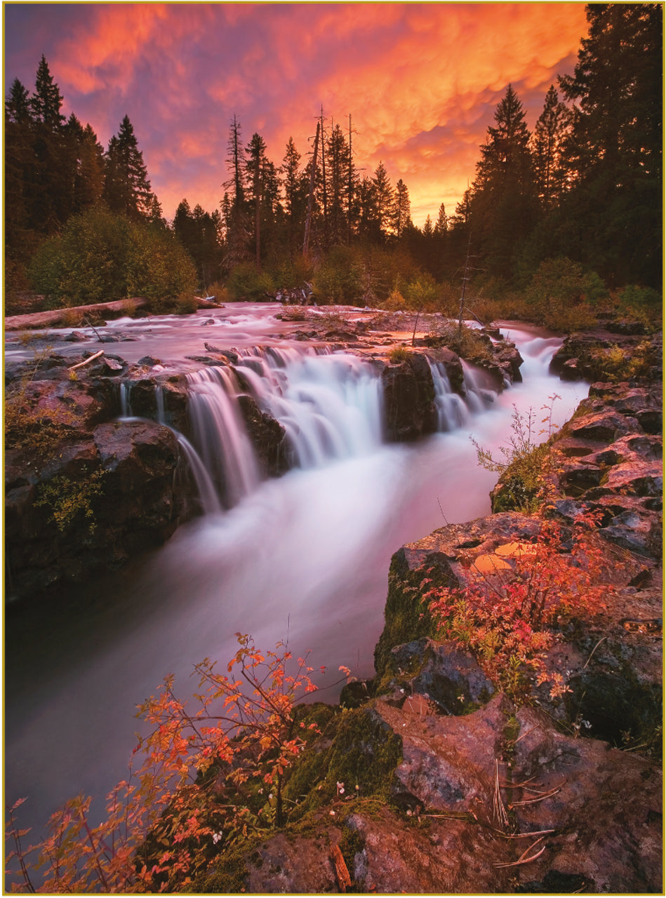 Or - Pacific Northwest Hue (1000pcs)