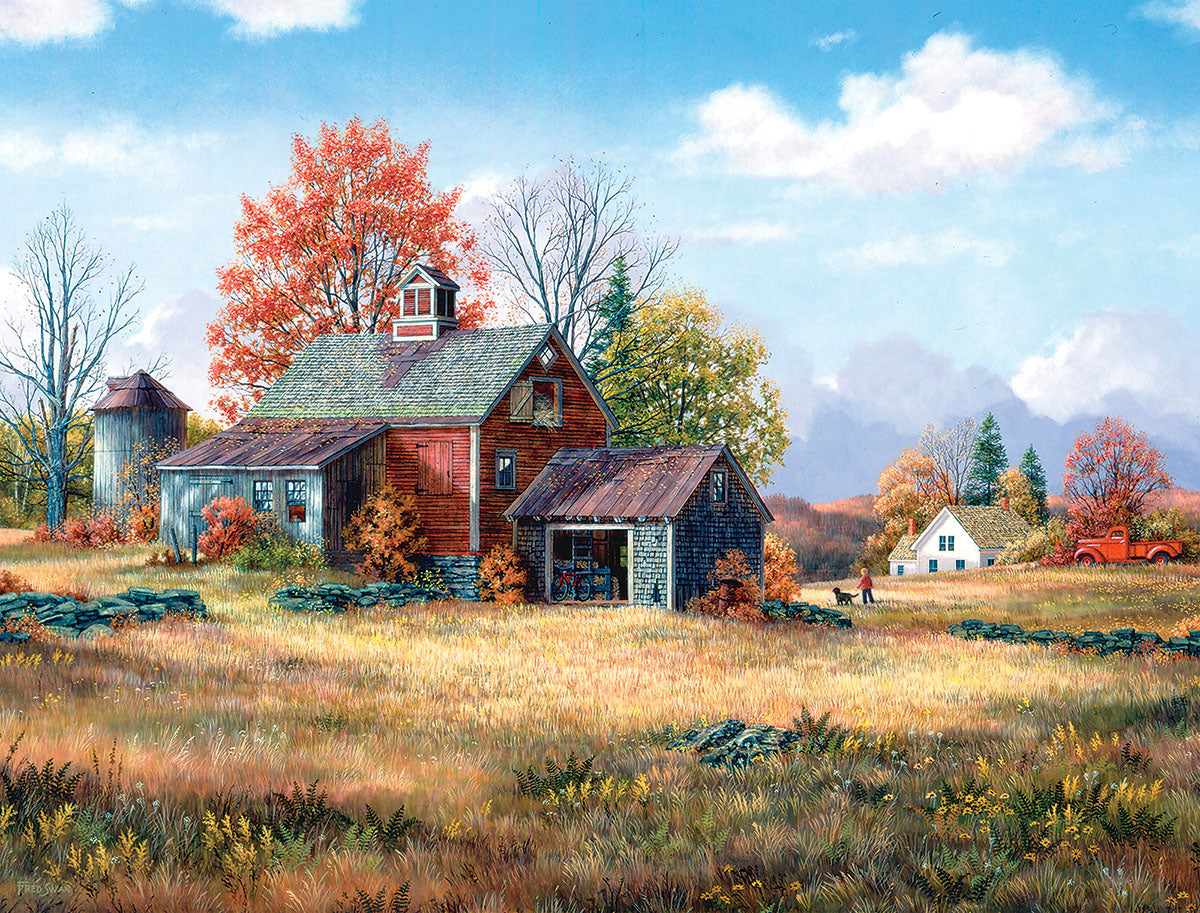 DMG Afternoon Walk, Fred Swan (DAMAGED BOX)
