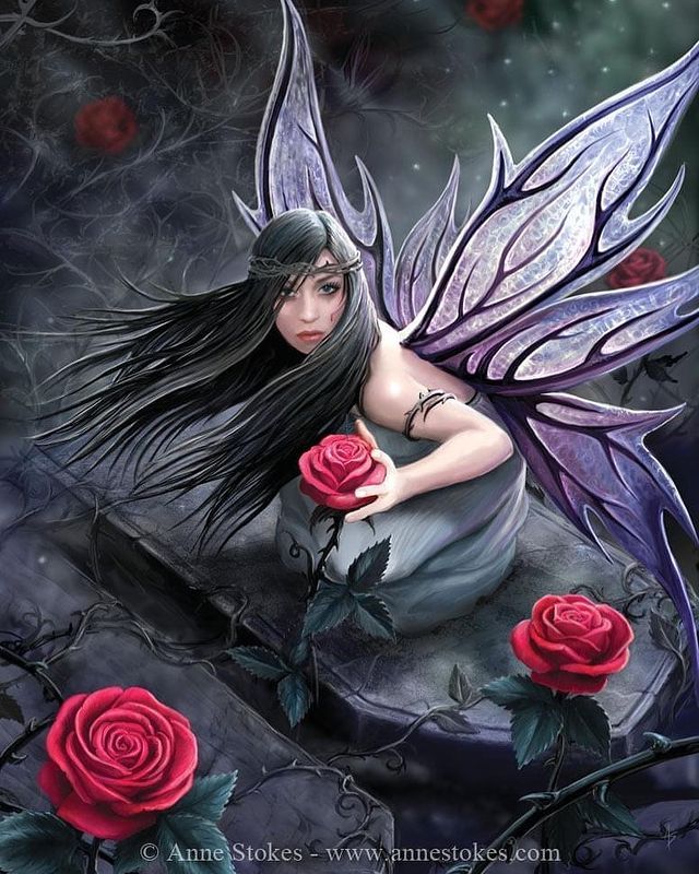DMG Anne Stokes - Rose Fairy (DAMAGED BOX) (1000pcs)