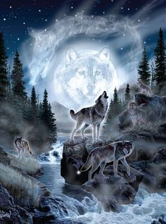 PFG Moon Wolf (Usage/Used - PUZZLES FOR GOOD)