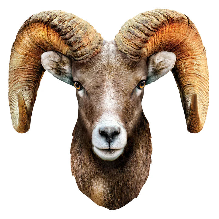 Bighorn moutons de montagne rocheux - en forme (100pcs)