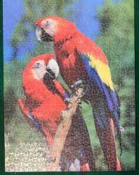 PFG Parrots (Usage/Used - PUZZLES FOR GOOD)