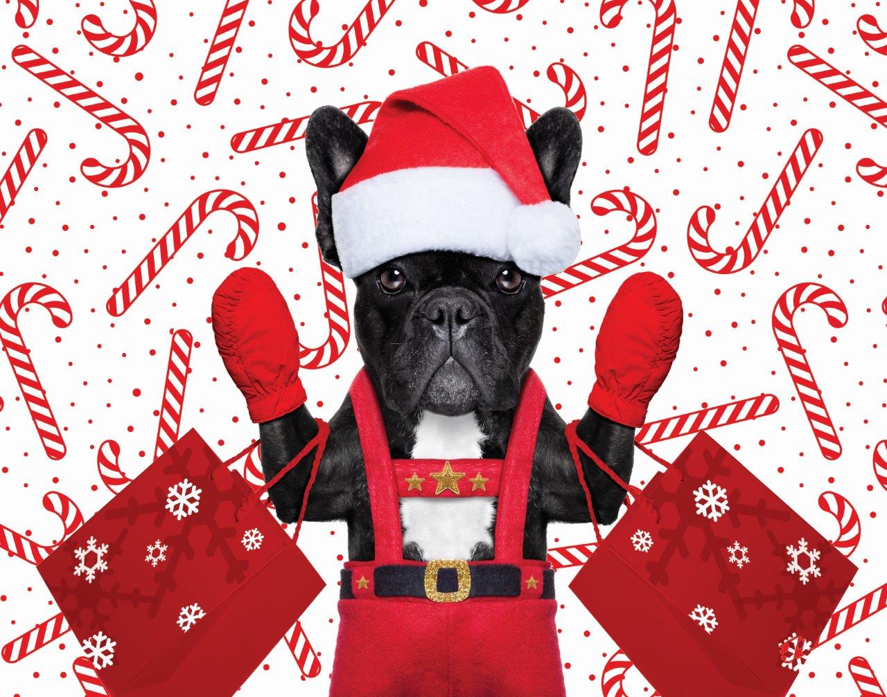 Jingle Time - Puppy with Mitts (100pcs)