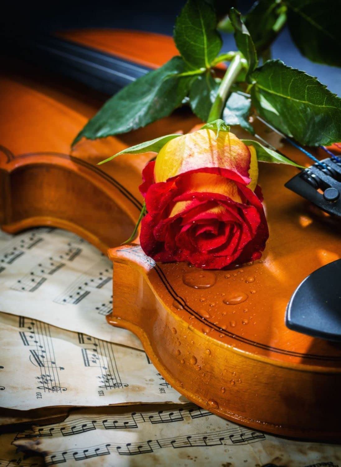 Music, Love & Sadness (1000pcs)