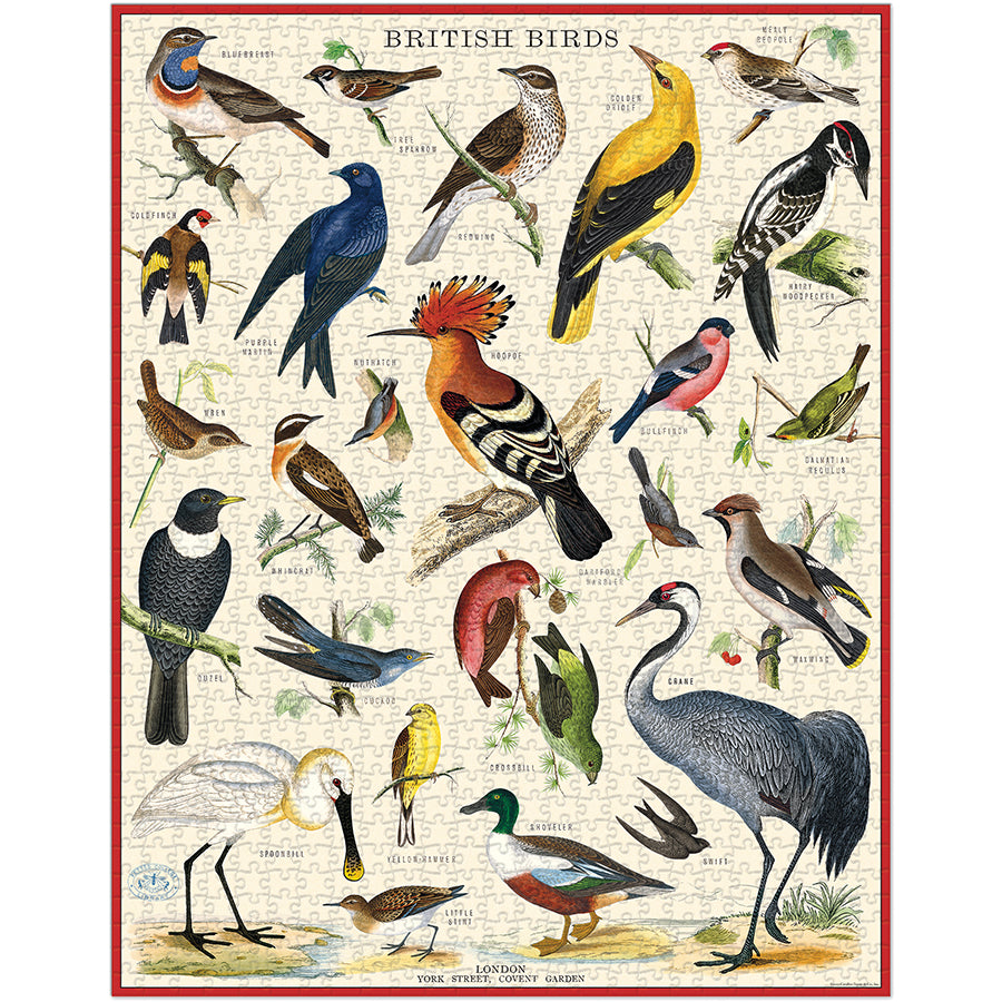 Vintage - British Birds (1000pcs)
