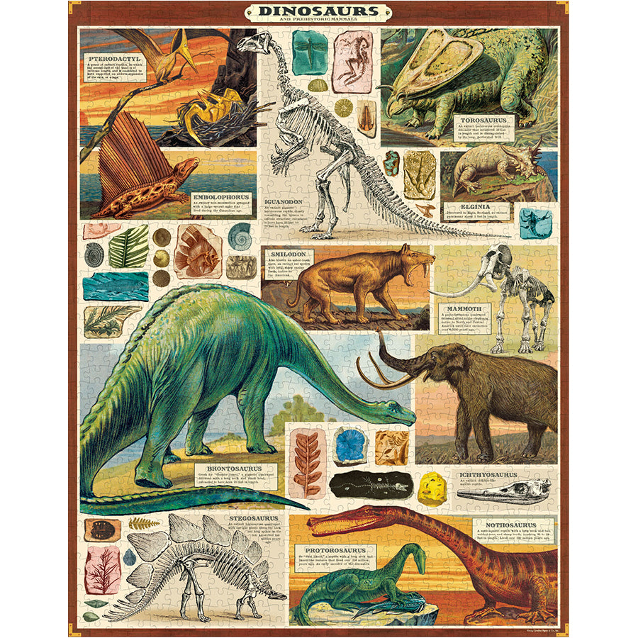 Vintage - Dinosaures (1000pcs)