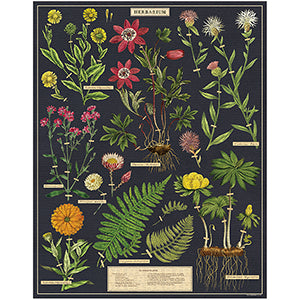 Vintage - Herbier (1000pcs)