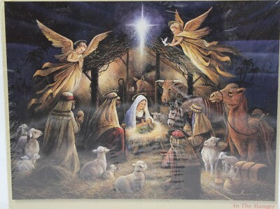 PFG In The Manger (Usage/Used - PUZZLES FOR GOOD)