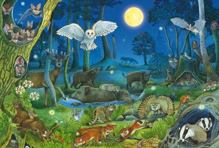 Animals in a Night-Time Forest (100pcs)
