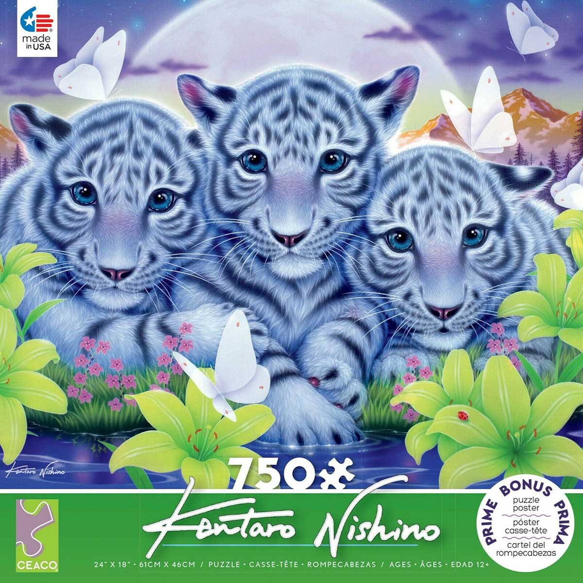 Kentaro Nishino: Little Brothers