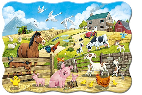 Animals on the Farm, 20 MAXI