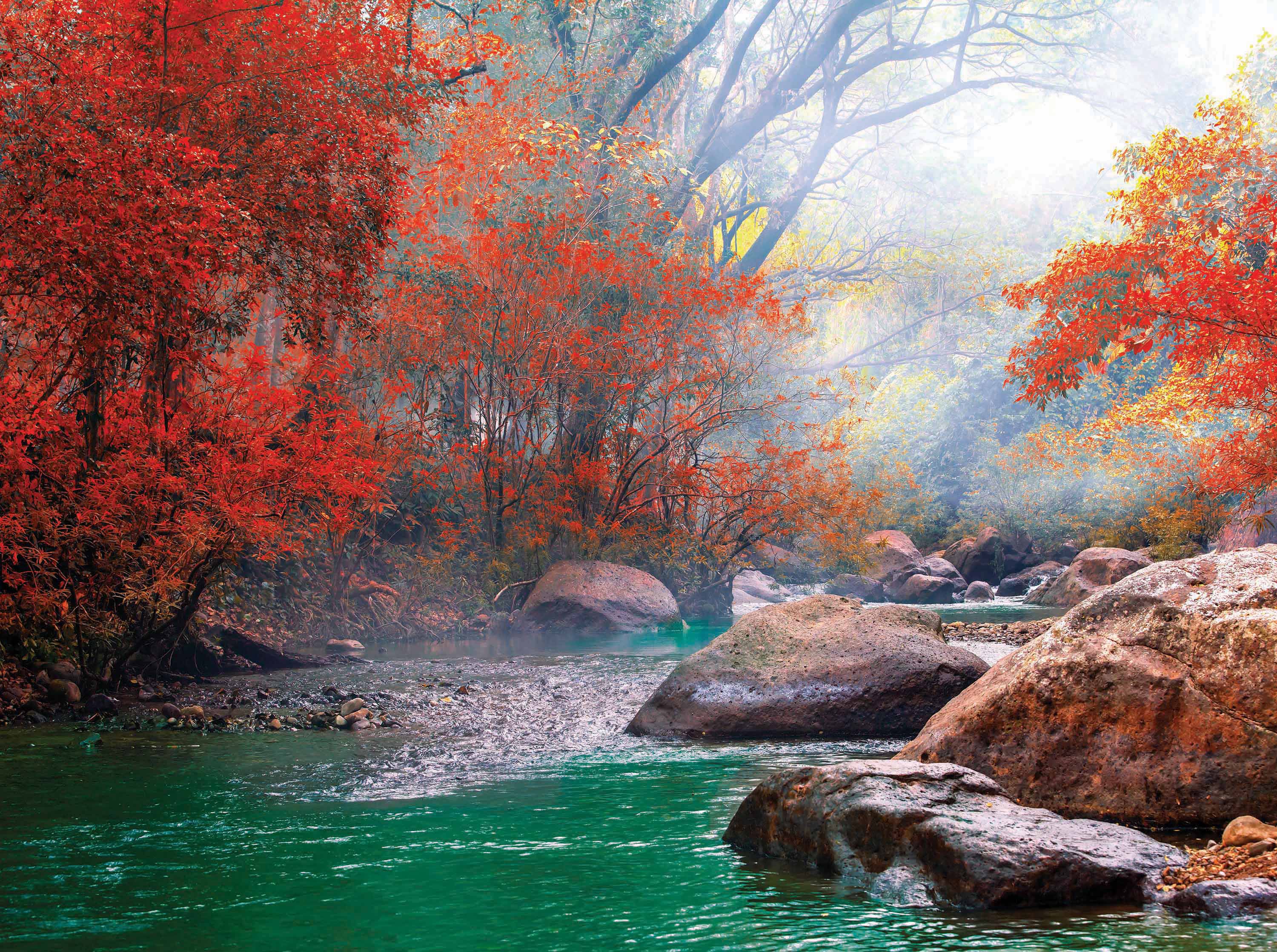 Natural Bath, Onsen, Japan (1000pcs)