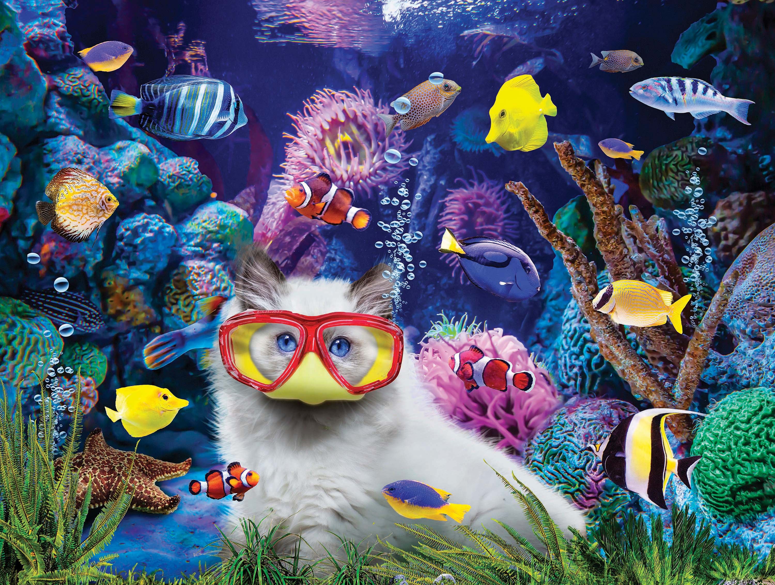 Chaton dans un aquarium, Karen Burke (300pcs)