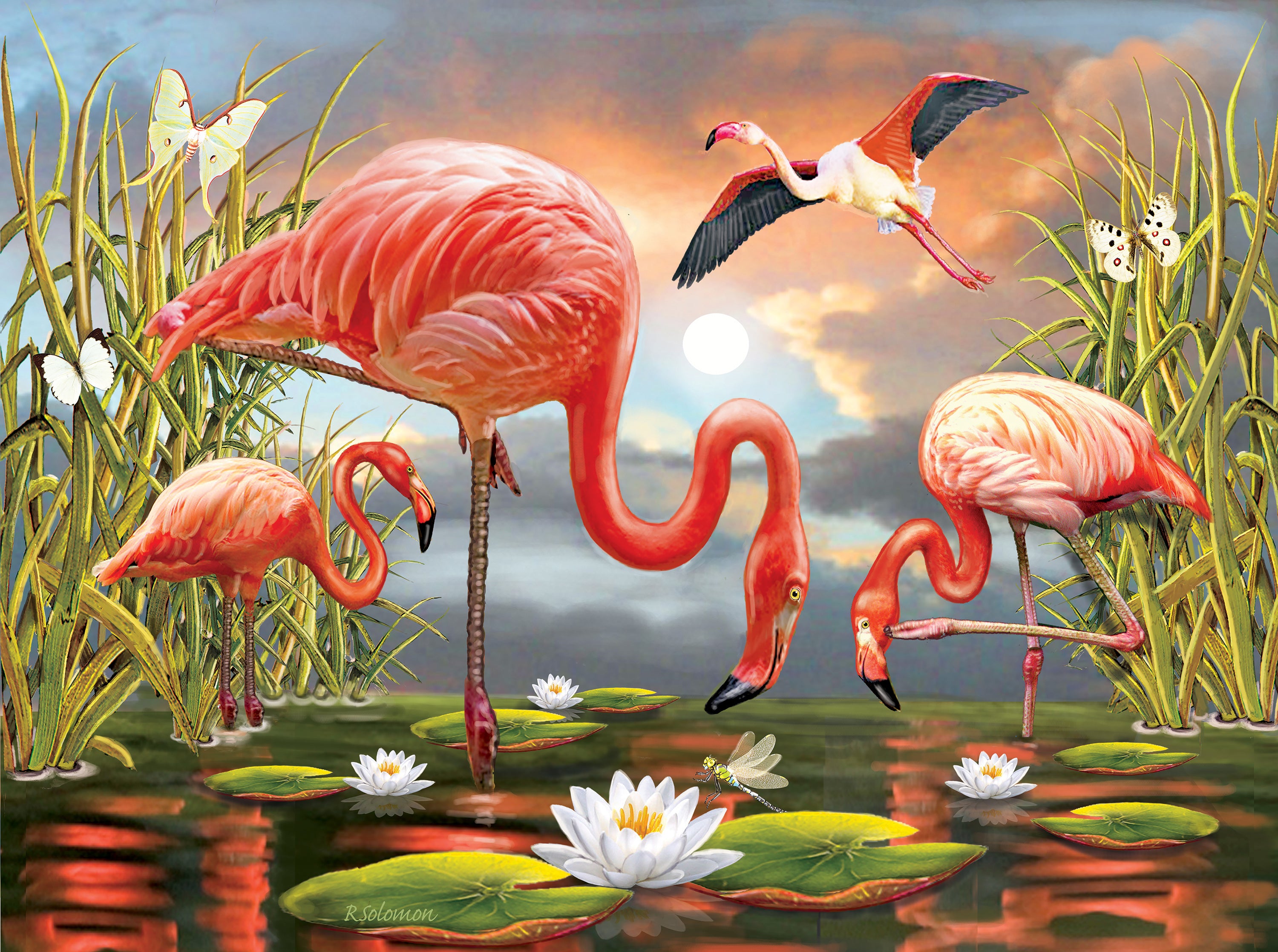 Flamingos, Rosiland Salomon (1000pcs)