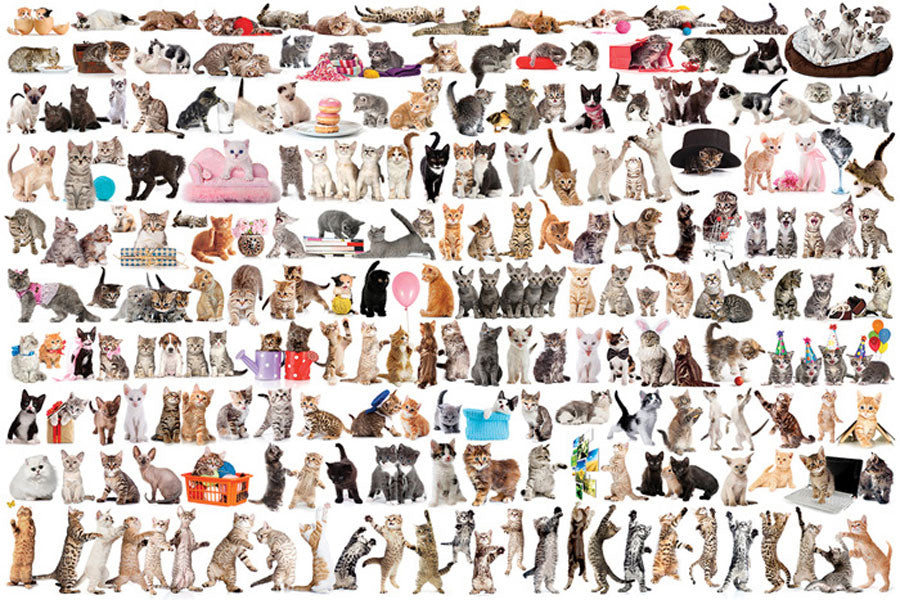 The World of Cats (2000pcs)