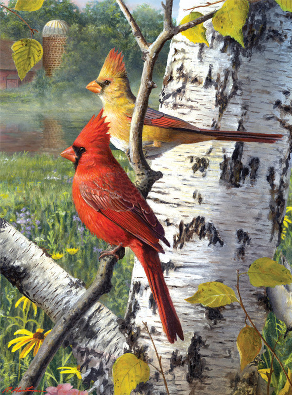 Cardinals et bouleau, Hautman Brothers