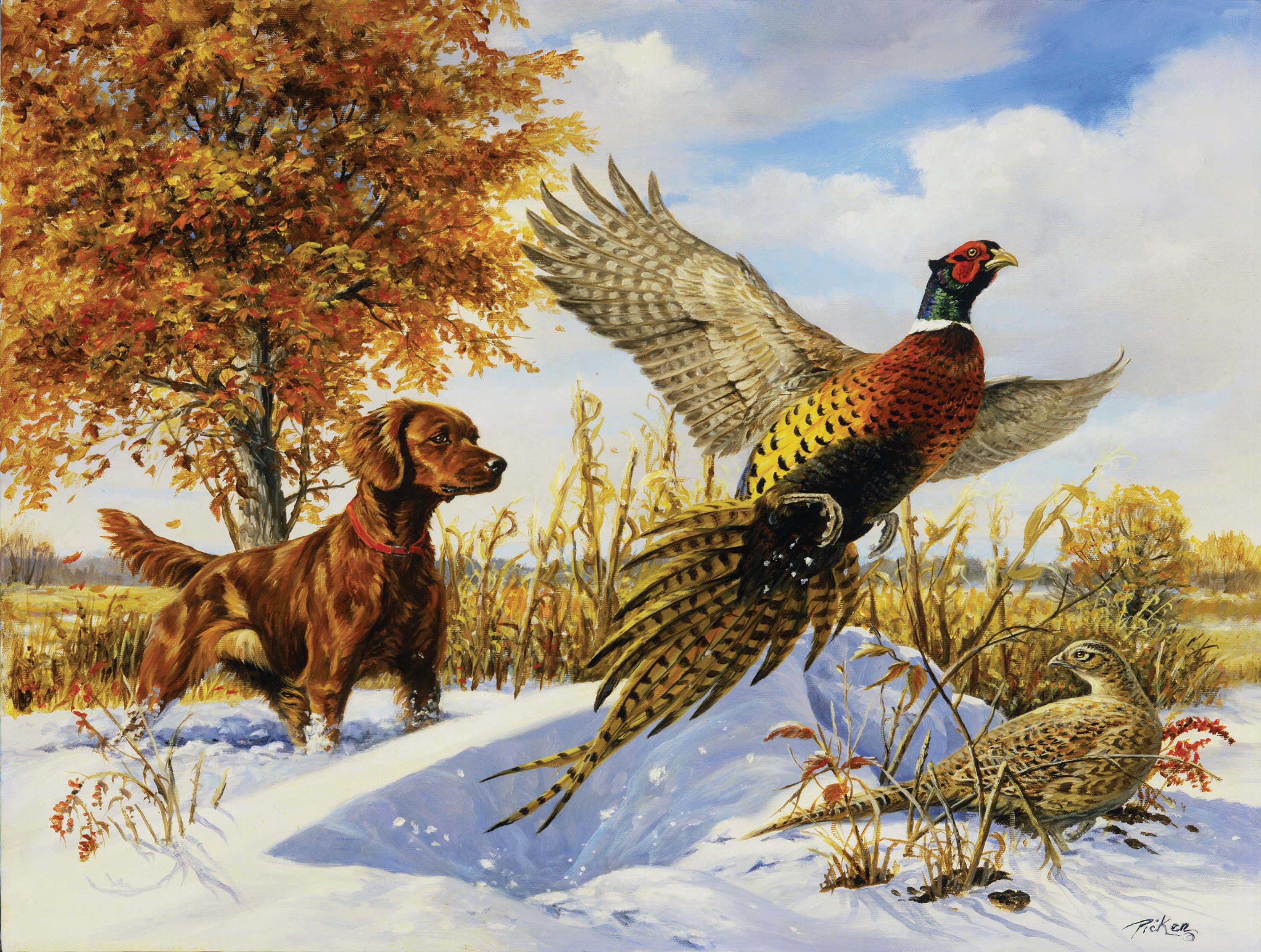 Setter irlandais, faisan et arbre, Linda Picken (550pcs)