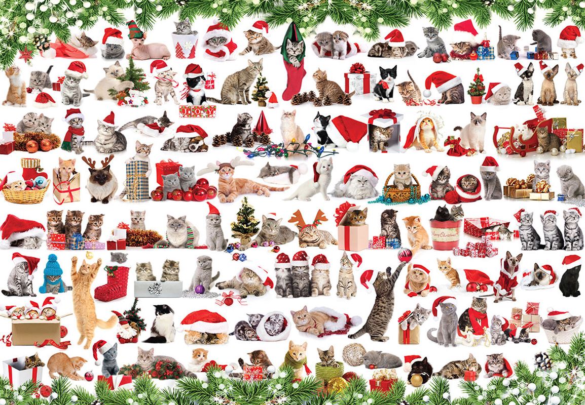 Holiday Cats