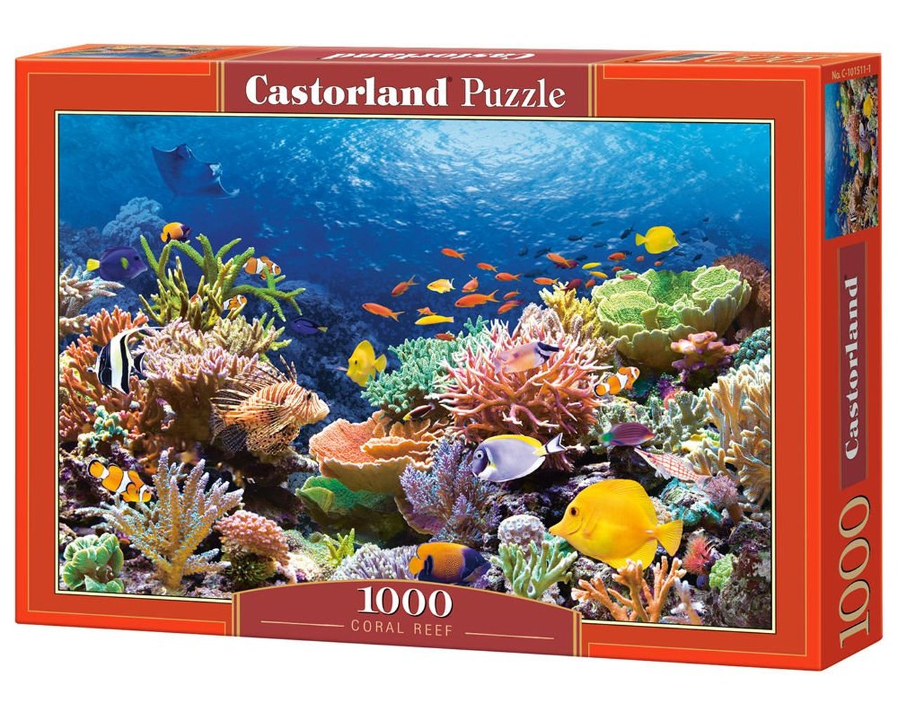 Coral Reef Fishes (1000pcs)