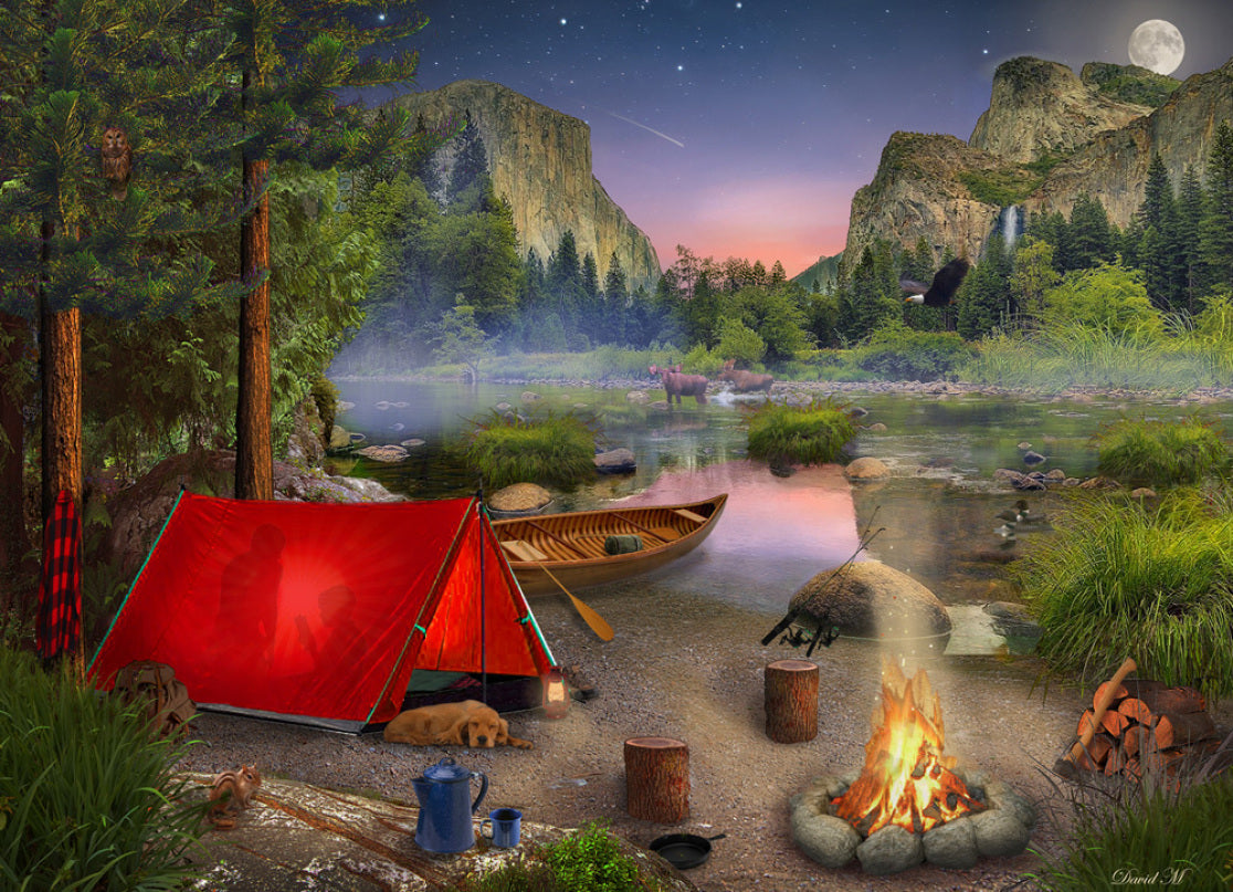 Wilderness Trip, David Maclean