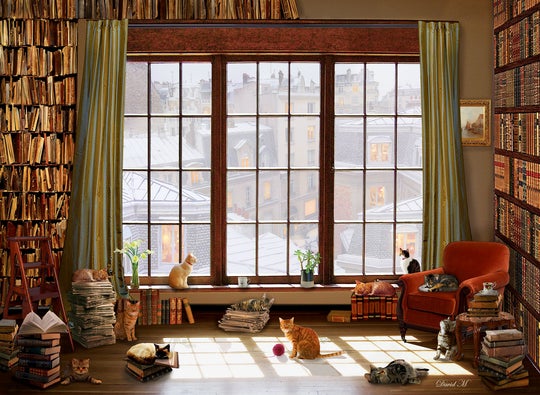 Window Cats, David MacLean (1000pcs)