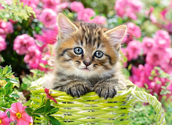 Chaton dans Flower Garden, 100pc