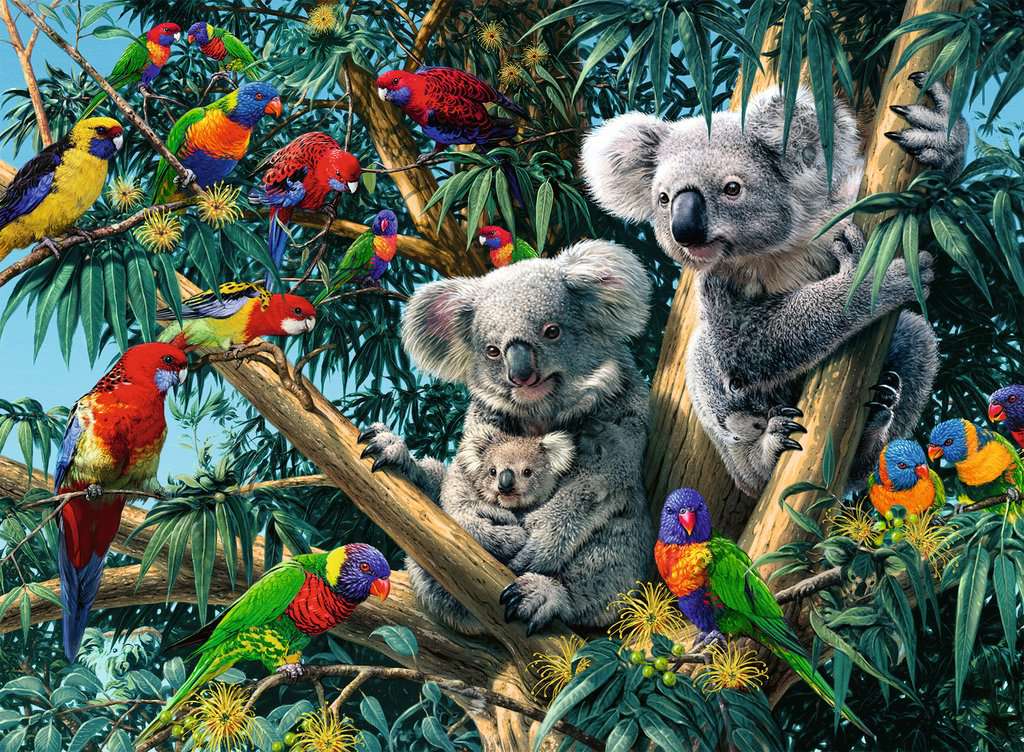 Koalas Ravensburger dans un arbre (500pcs)