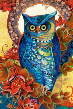 Hoot, David Galchutt