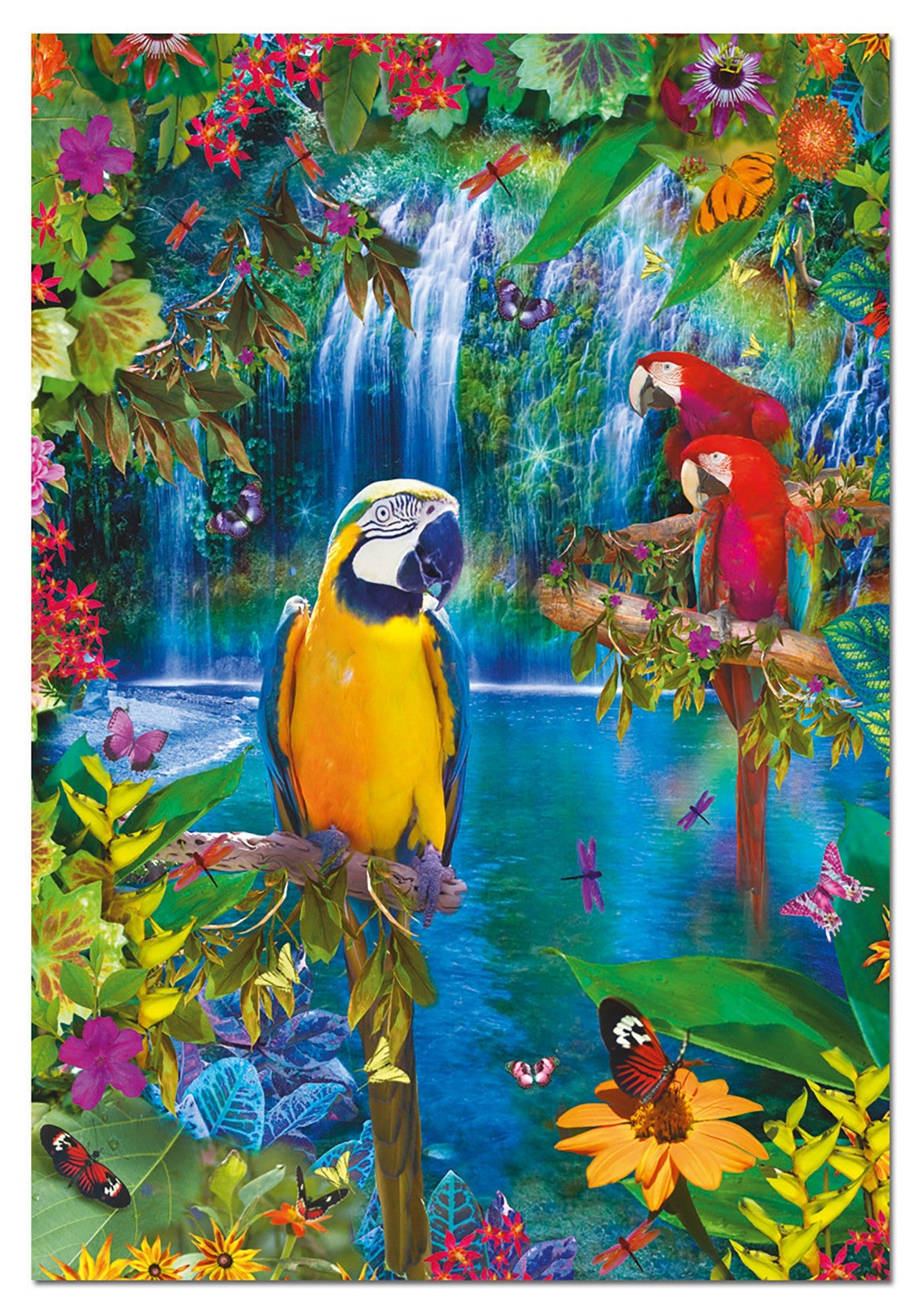 Bird Tropical Land